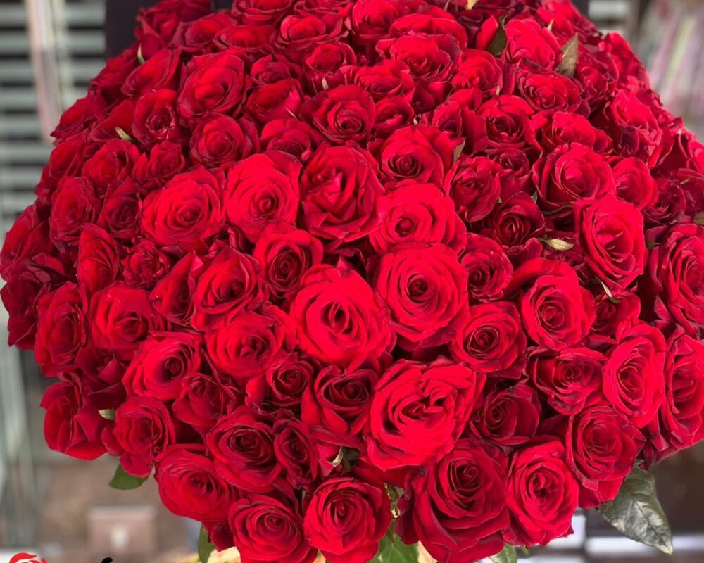 475751145_1126049139312953_5215064212811084640_n