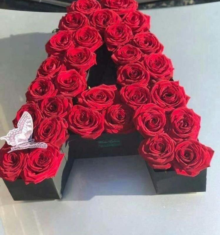 480433212_1135438585040675_2500056945326101298_n