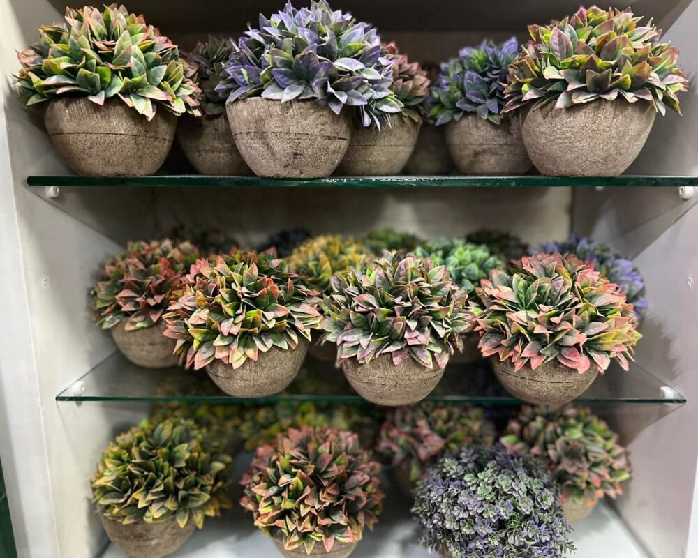 480803546_9036432879811936_3585590744567283544_n