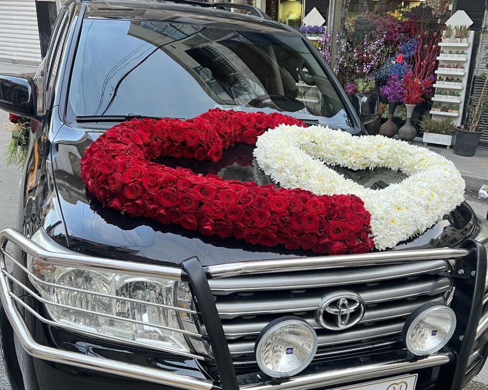 481010641_1139708501280350_7199691635804106146_n