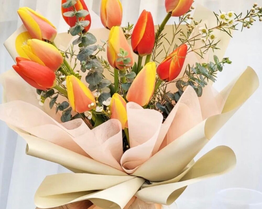 481099869_9036427579812466_2699805758095438722_n