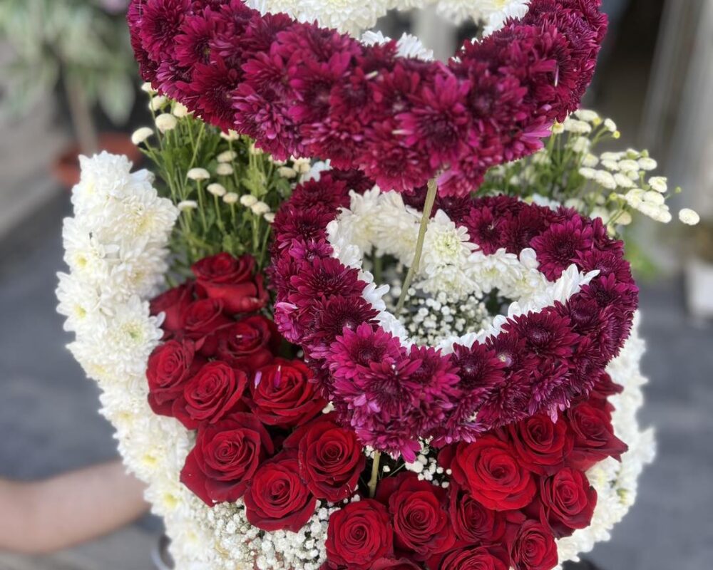 481266052_1141506011100599_3149128157131983659_n