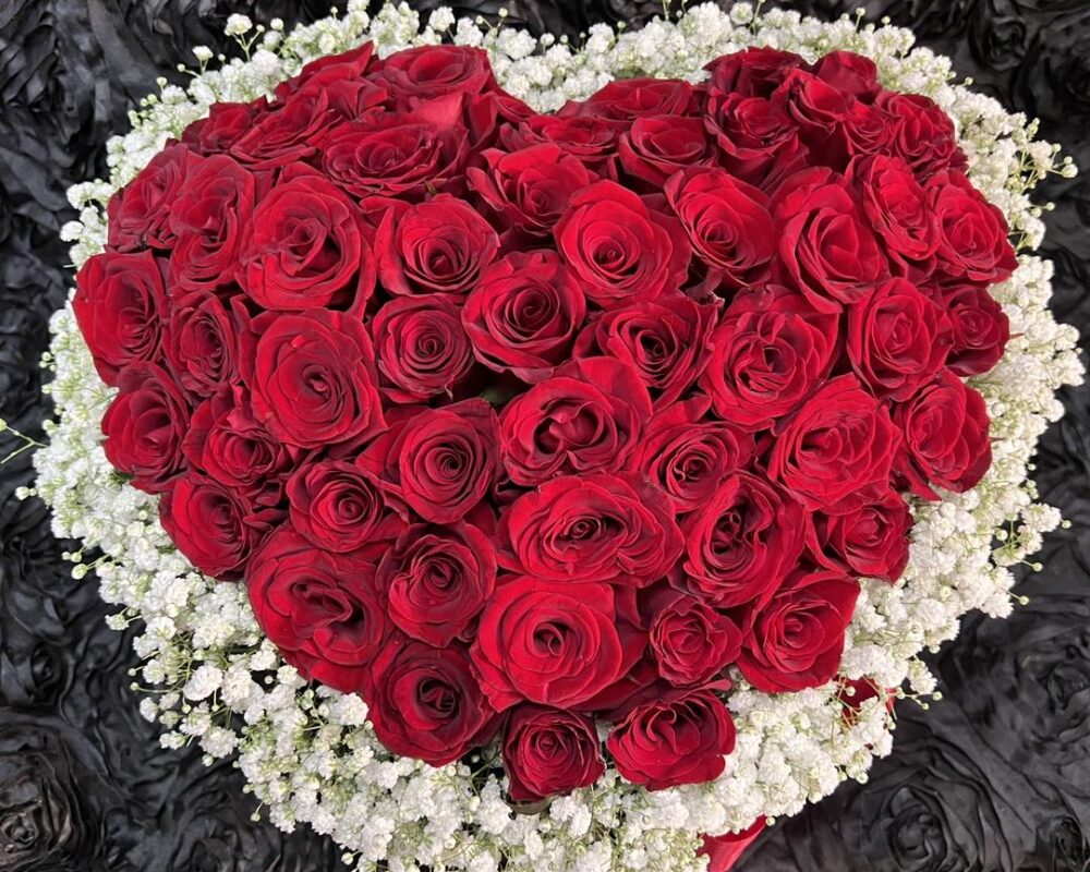 482132652_1152987926619074_7919111098822212197_n