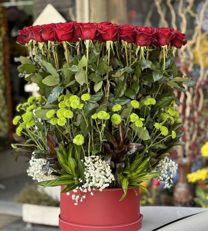 482245820_1153804573204076_2456386514491374393_n