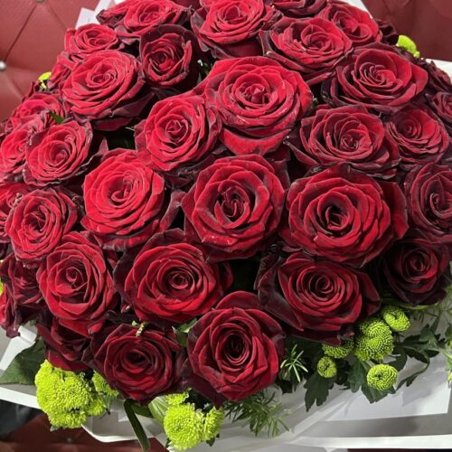 482274214_1153622703222263_2901675220821142816_n