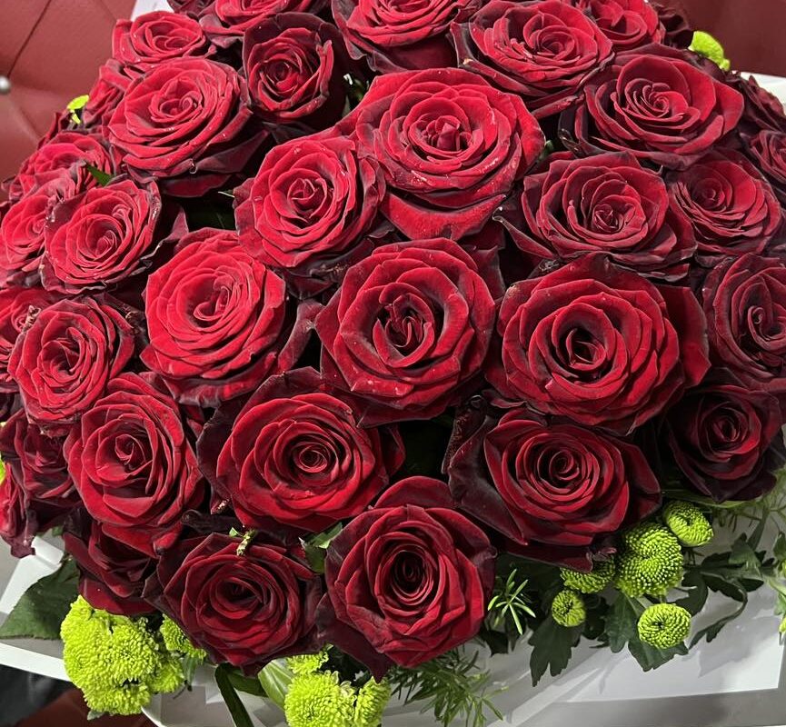 482274214_1153622703222263_2901675220821142816_n