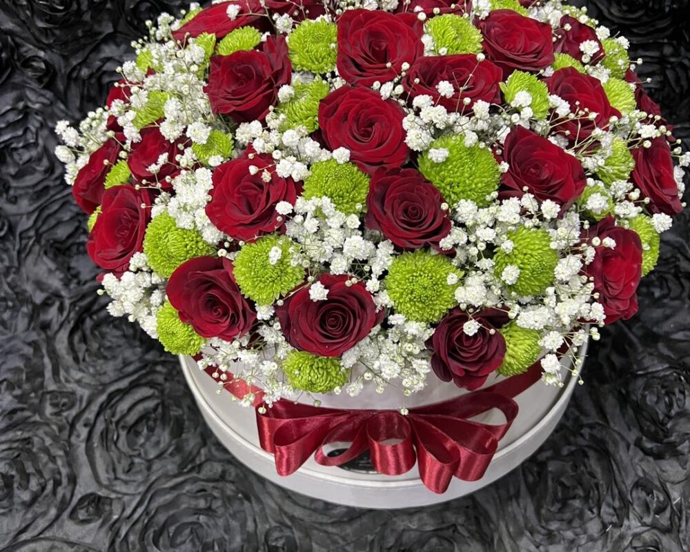 482337258_1152961423288391_2539568184233498284_n