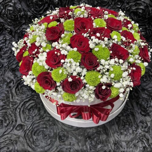 482337258_1152961423288391_2539568184233498284_n