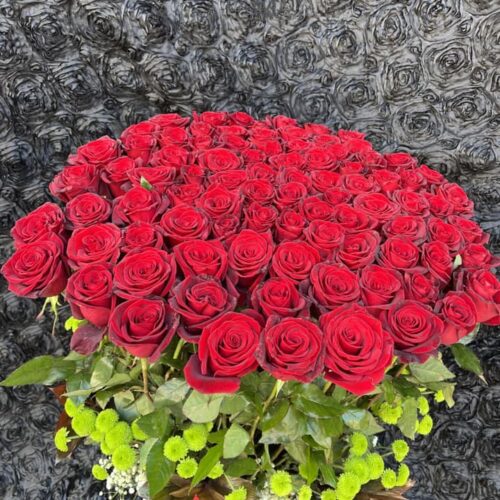 482343212_1153804699870730_7051114970581662931_n