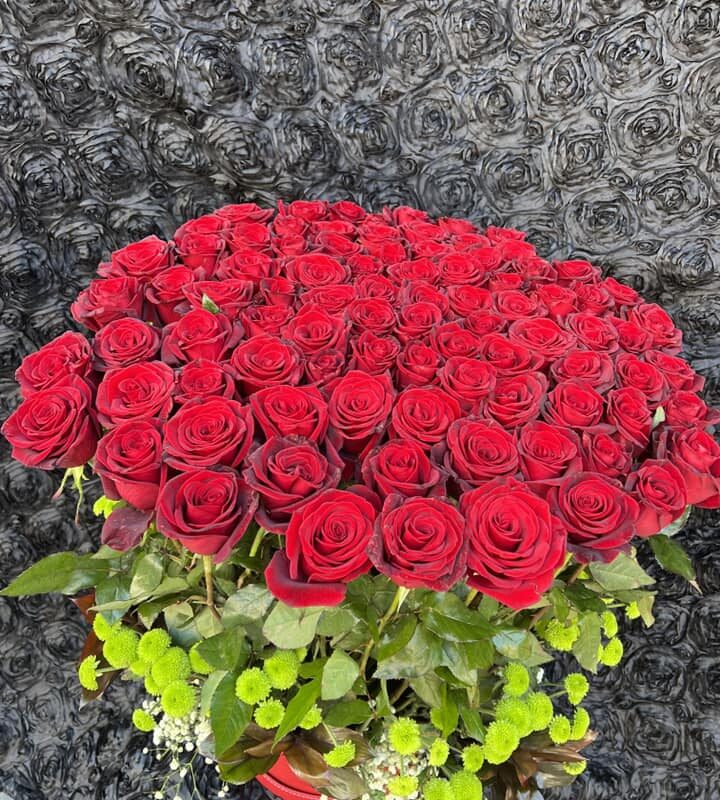 482343212_1153804699870730_7051114970581662931_n