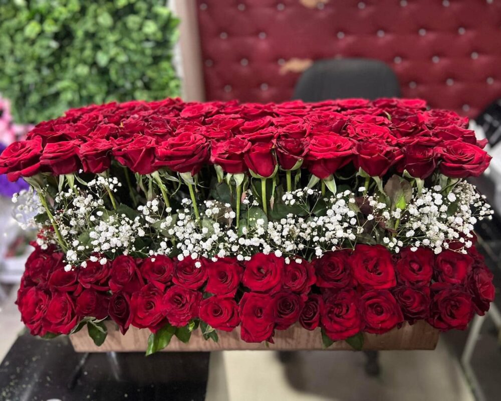 484181943_1157559039495296_1303583712453572037_n