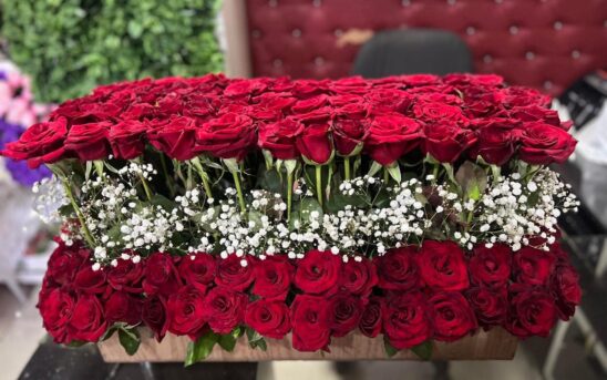 484181943_1157559039495296_1303583712453572037_n