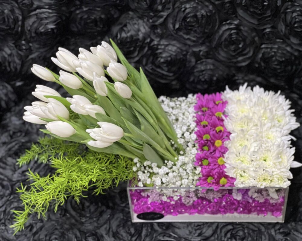 484309424_1158588906058976_2635879162819903077_n