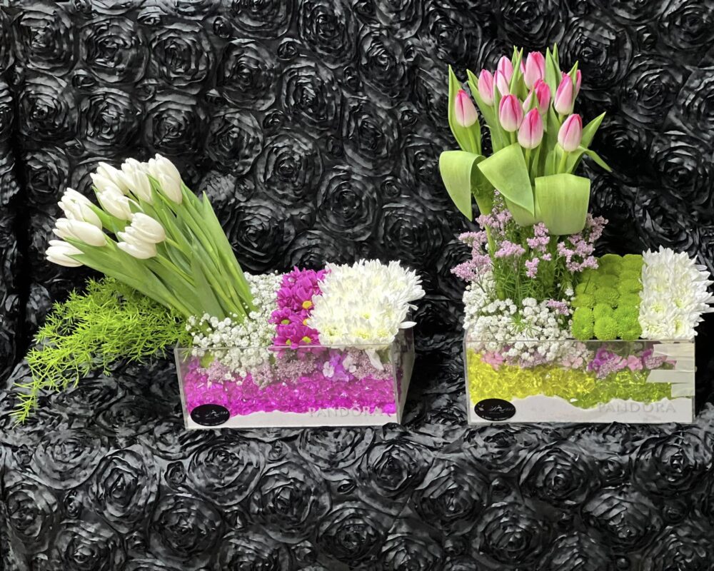 484337371_1158588539392346_7403186540006372847_n.bak