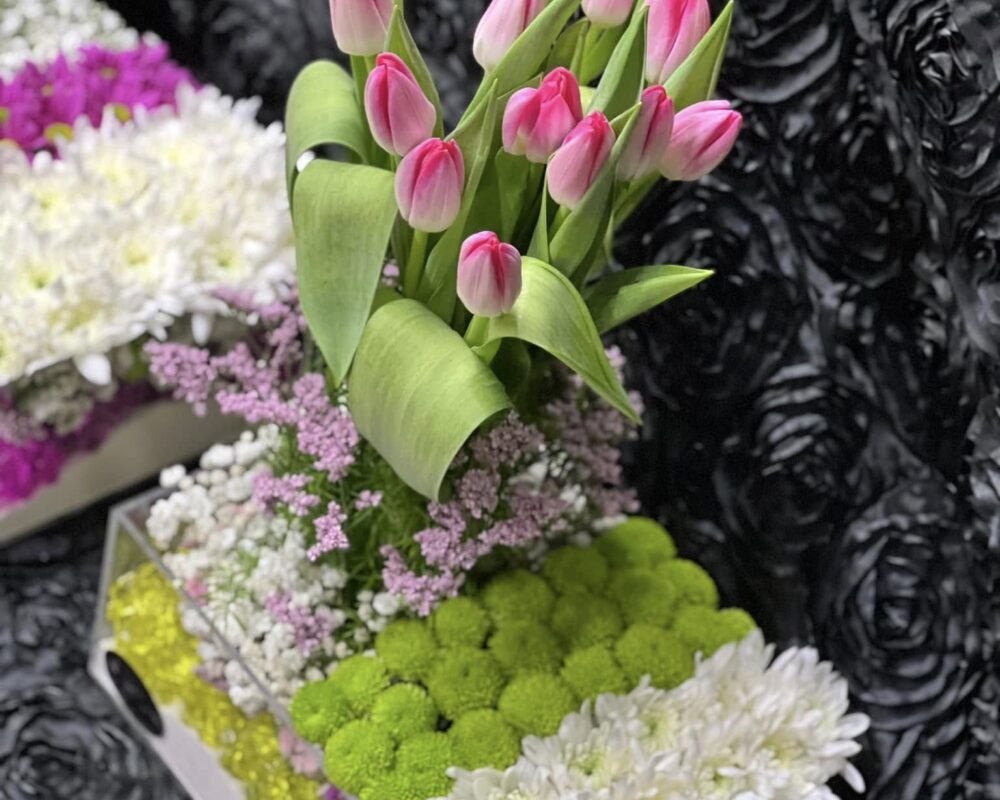 485004360_1158588632725670_4577409028333549287_n