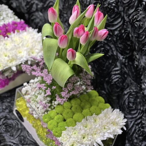 485004360_1158588632725670_4577409028333549287_n