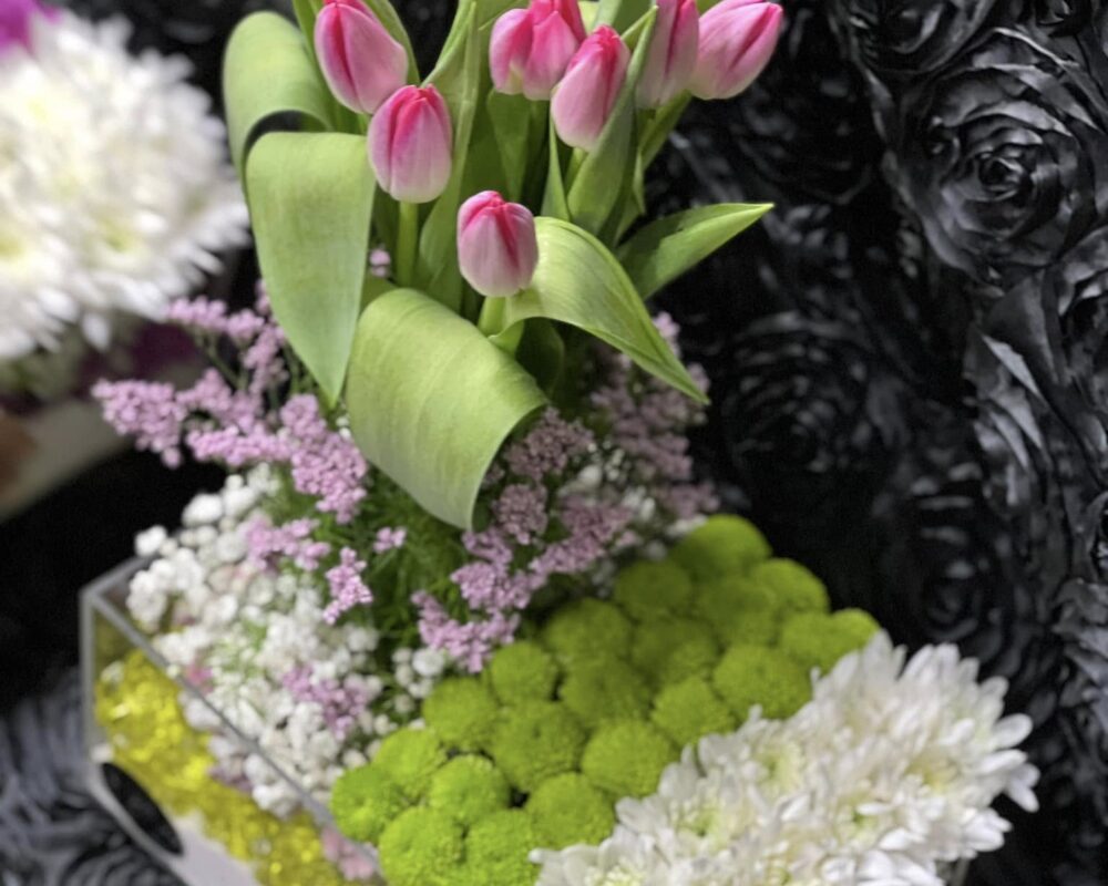 485014057_1158588706058996_3990315261916188533_n