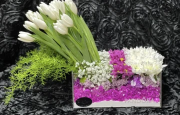 485064739_1158588449392355_2958135481920435981_n