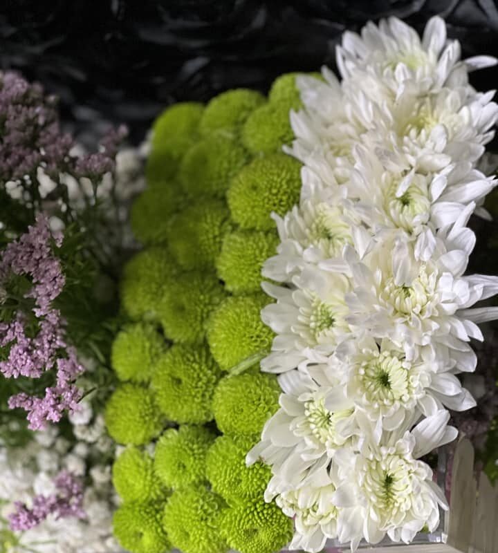 485138617_1158588896058977_8865868040006961691_n