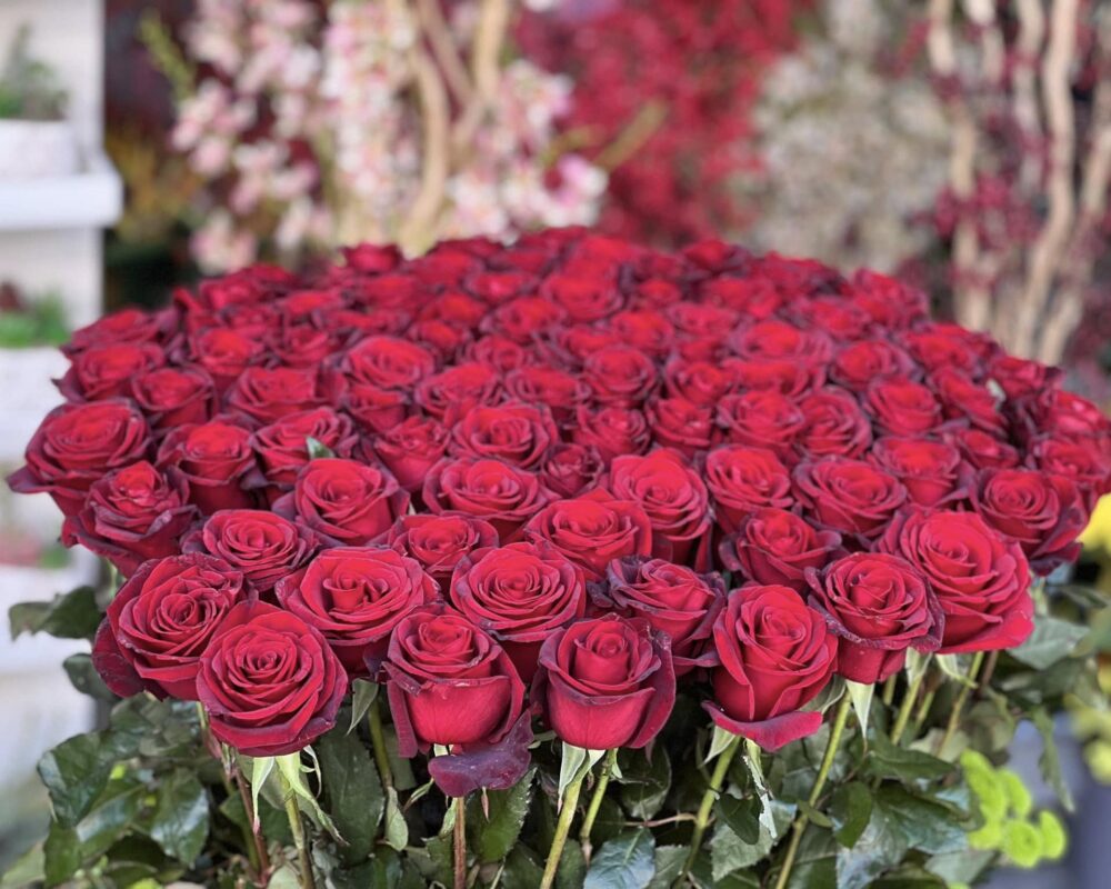 485157491_1157560052828528_5289557011204478991_n